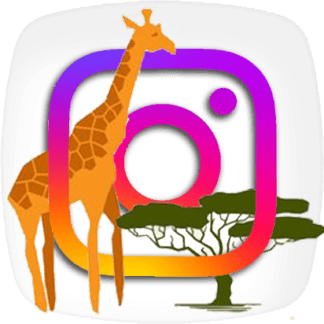 Instagram Views [Africa]