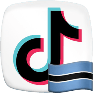 TikTok Views  [Botsvana]