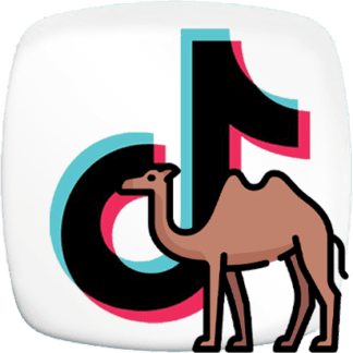 TikTok Followers [Arab]