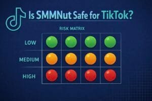 Is SMMNut Safe for TikTok Growth in 2026