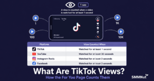 What Are TikTok Views