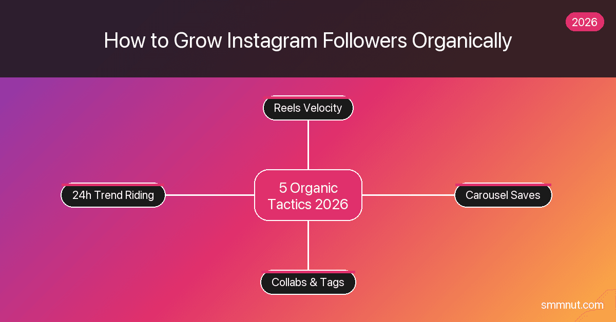 How to Grow Instagram Followers Organically in 2026
