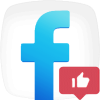 facebook likes