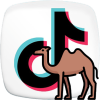 tiktok arab tiktok arab